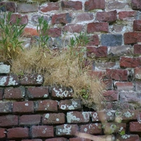 Photo de france - De la Madelaine à Montreuil-sur-Mer